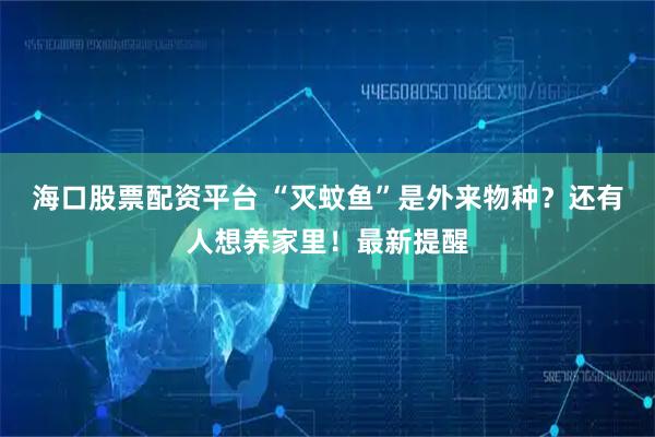 海口股票配资平台 “灭蚊鱼”是外来物种？还有人想养家里！最新提醒