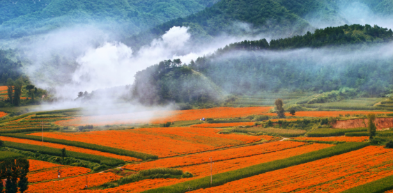 海口股票配资平台 秋实累累|延庆妫水农耕·四季花海之旅 ——妫水缓行间邂逅花田山泉的秋日盛景